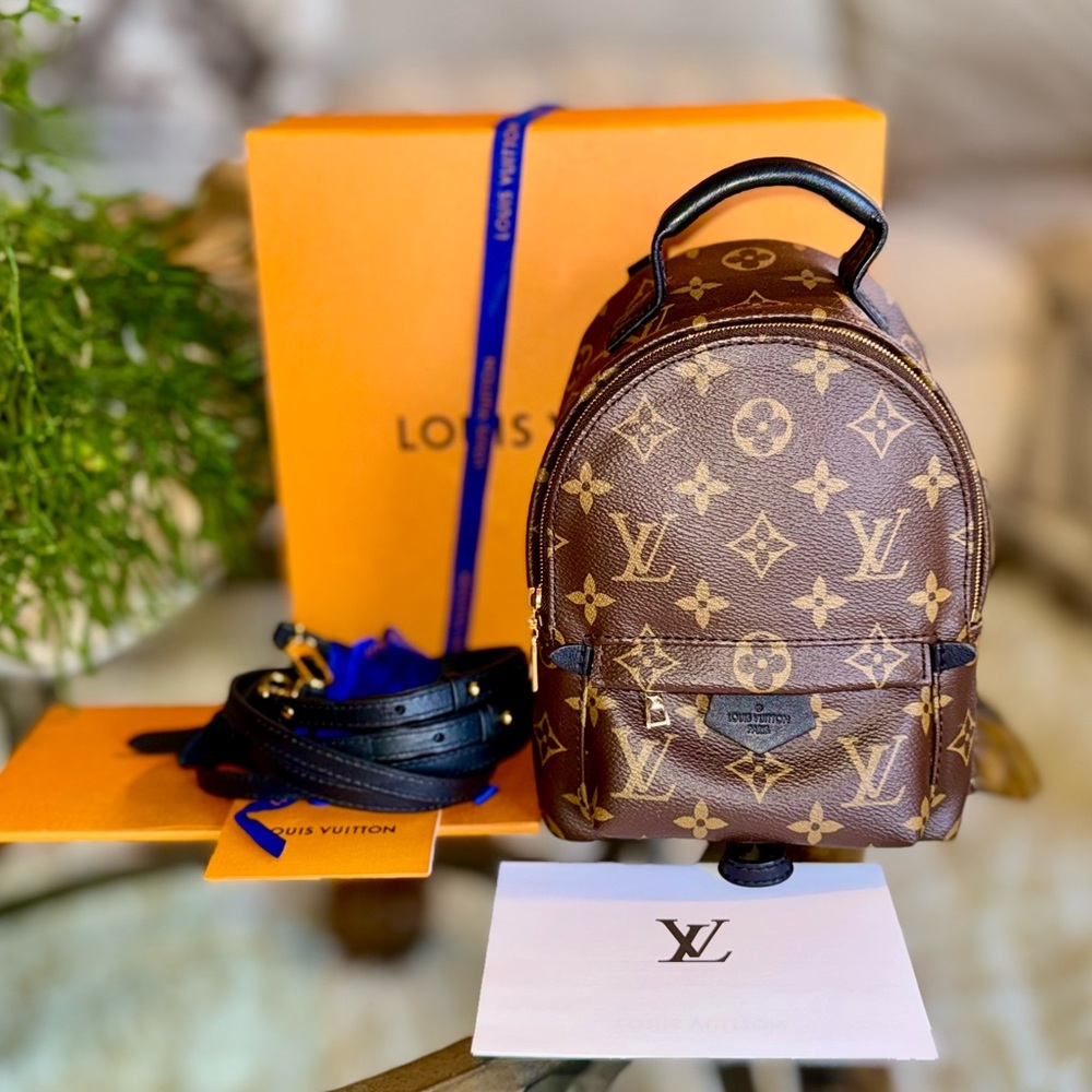 💖 Louis Vuitton PALM SPRING MINI BACKPACK     ‼️GREAT COND‼️
